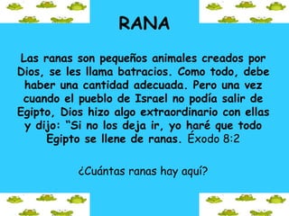 RANA
Las ranas son pequeños animales creados por
Dios, se les llama batracios. Como todo, debe
haber una cantidad adecuada. Pero una vez
cuando el pueblo de Israel no podía salir de
Egipto, Dios hizo algo extraordinario con ellas
y dijo: “Si no los deja ir, yo haré que todo
Egipto se llene de ranas. Éxodo 8:2
¿Cuántas ranas hay aquí?
 