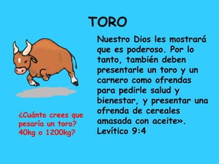 TORO
Nuestro Dios les mostrará
que es poderoso. Por lo
tanto, también deben
presentarle un toro y un
carnero como ofrendas
para pedirle salud y
bienestar, y presentar una
ofrenda de cereales
amasada con aceite».
Levítico 9:4
¿Cuánto crees que
pesaría un toro?
40kg o 1200kg?
 