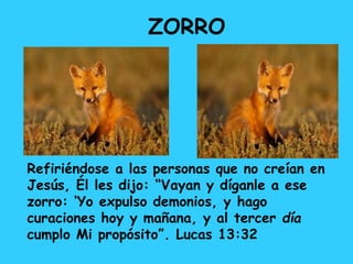 zorro
Refiriéndose a las personas que no creían en
Jesús, Él les dijo: “Vayan y díganle a ese
zorro: ‘Yo expulso demonios, y hago
curaciones hoy y mañana, y al tercer día
cumplo Mi propósito”. Lucas 13:32
ZORRO
 