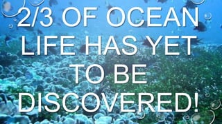 2/3 OF OCEAN
LIFE HAS YET
TO BE
DISCOVERED!

 