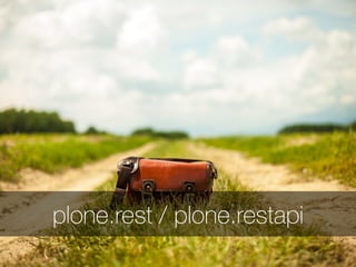 plone.rest / plone.restapi
 