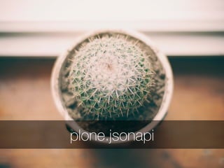 plone.jsonapi
 