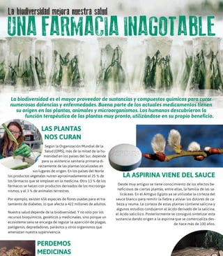 "Sin biodiversidad no hay vida"