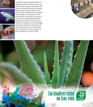 "Sin biodiversidad no hay vida"