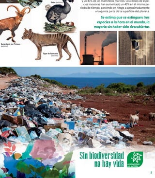 Tigre de Tasmania
(extinto)
Tigre de Tasmania
(extinto)
 