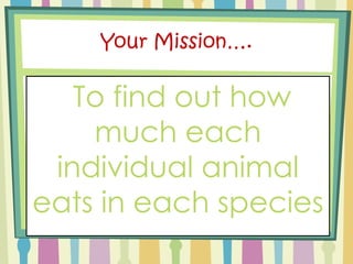 Dividing DecimalsDecimals