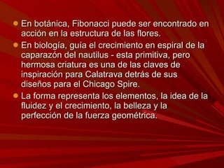 En botánica, Fibonacci puede ser encontrado en acción en la estructura de las flores. En biología, guía el crecimiento en espiral de la caparazón del nautilus - esta primitiva, pero hermosa criatura es una de las claves de inspiración para Calatrava detrás de sus diseños para el Chicago Spire.  La forma representa los elementos, la idea de la fluidez y el crecimiento, la belleza y la perfección de la fuerza geométrica.  
