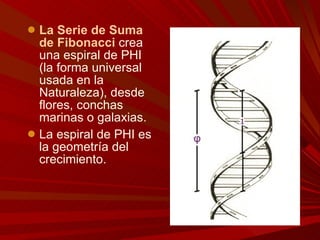 La Serie de Suma de Fibonacci  crea una espiral de PHI (la forma universal usada en la Naturaleza), desde flores, conchas marinas o galaxias. La espiral de PHI es la geometría del crecimiento. 
