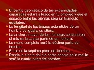 El centro geométrico de tus extremidades separadas estará situado en tu ombligo y que el espacio entre las piernas será un triángulo equilátero.  La longitud de los brazos extendidos de un hombre es igual a su altura.  La anchura mayor de los hombros contiene en sí misma la cuarta parte de un hombre.  La mano completa será la décima parte del hombre. El pie es la séptima parte del hombre.  Desde la planta del pie hasta debajo de la rodilla será la cuarta parte del hombre. 
