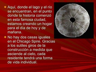 Aquí, donde el lago y el río se encuentran, en el punto donde la historia comenzó en esta famosa ciudad, estamos creando un hogar para el día de hoy y de mañana. No hay dos casas iguales en el Chicago Spire. Gracias a los sutiles giros de la construcción a medida que asciende al cielo, cada residente tendrá una forma de vida individual.   