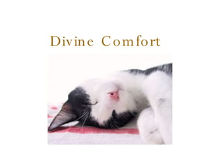 Divine Comfort   