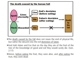 Divine principle part 2 of 3 | PDF