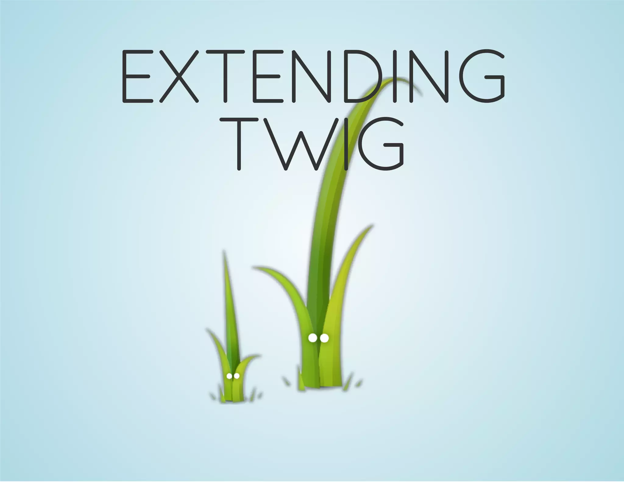 EXTENDING
TWIG

 