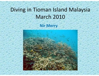 Diving in Tioman Island Malaysia 
Diving in Tioman Island Malaysia
           March 2010
           Nir Merry
 