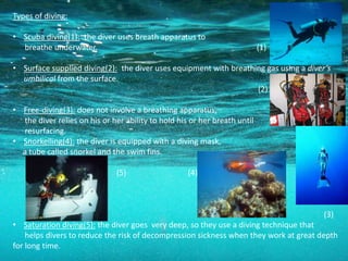 Types of diving:

• Scuba diving(1): the diver uses breath apparatus to
  breathe underwater.                                                      (1)

• Surface supplied diving(2): the diver uses equipment with breathing gas using a diver’s
  umbilical from the surface.
                                                                   (2)

• Free-diving(3): does not involve a breathing apparatus,
  the diver relies on his or her ability to hold his or her breath until
  resurfacing.
• Snorkelling(4): the diver is equipped with a diving mask,
  a tube called snorkel and the swim fins.

                               (5)                  (4)



                                                                                       (3)
• Saturation diving(5): the diver goes very deep, so they use a diving technique that
    helps divers to reduce the risk of decompression sickness when they work at great depth
for long time.
 