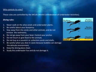 Who controls its rules?

These rules are controlled by the WCUA (World Confederation of Underwater Activities).

Diving rules:

1. Never walk on the alive corals and underwater plants.
2. Be careful about your buoyancy.
3. Stay away from the corals and other animals, and do not
   remove the sediments.
4. Do not go away from your boat. Control your anchor.
5. Do not touch or give food to the animals.
6. Do not buy as a souvenir or collection corals and shells.
7. Be careful when you dive in caves because bubbles can damage
    the delicate environment.
8. Keep the diving place clean.
9. Study the underwater live and do not damage it.
 