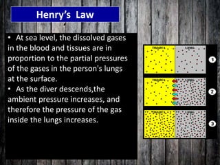 Henry’s Law
• At sea level, the dissolved gases
in the blood and tissues are in
proportion to the partial pressures
of the gases in the person's lungs
at the surface.
• As the diver descends,the
ambient pressure increases, and
therefore the pressure of the gas
inside the lungs increases.
 