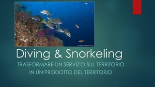 STC2A: Diving e snorkeling