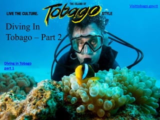 Diving In
Tobago – Part 2
Visittobago.gov.tt
Diving in Tobago
part 1
 
