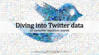 Diving into Twitter dataon consumer electronic brands  