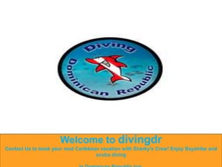 Welcome to divingdr
Contact Us to book your next Caribbean vacation with Sharky’s Crew! Enjoy Bayahibe and
scuba diving
 