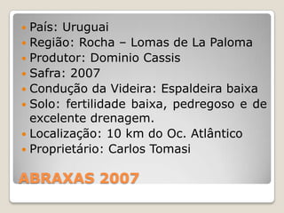  País: Uruguai
 Região: Rocha – Lomas de La Paloma
 Produtor: Dominio Cassis
 Safra: 2007
 Condução da Videira: Espaldeira baixa
 Solo: fertilidade baixa, pedregoso e de
  excelente drenagem.
 Localização: 10 km do Oc. Atlântico
 Proprietário: Carlos Tomasi


ABRAXAS 2007
 
