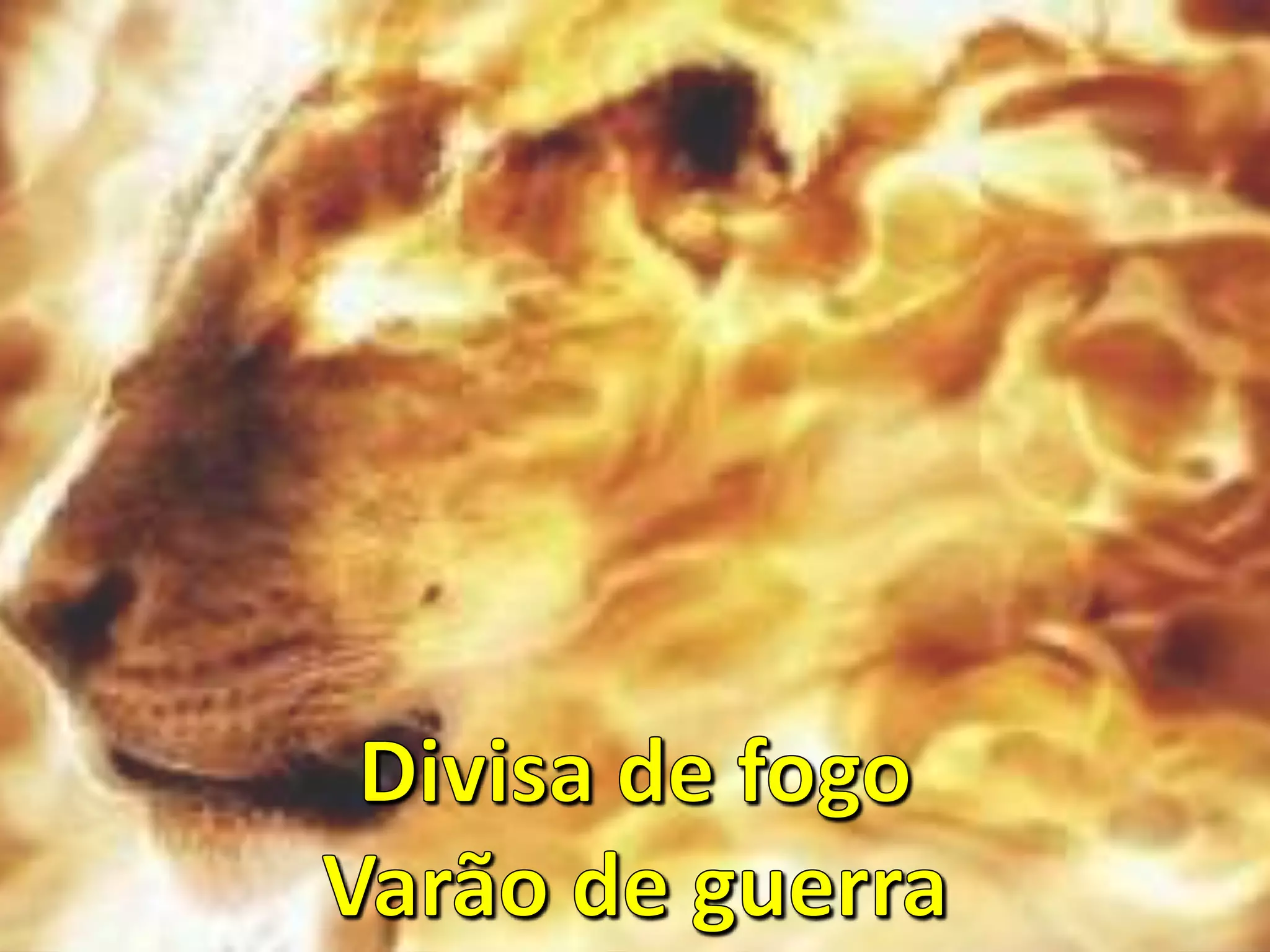 Divisa de Fogo - Fogo no Pé