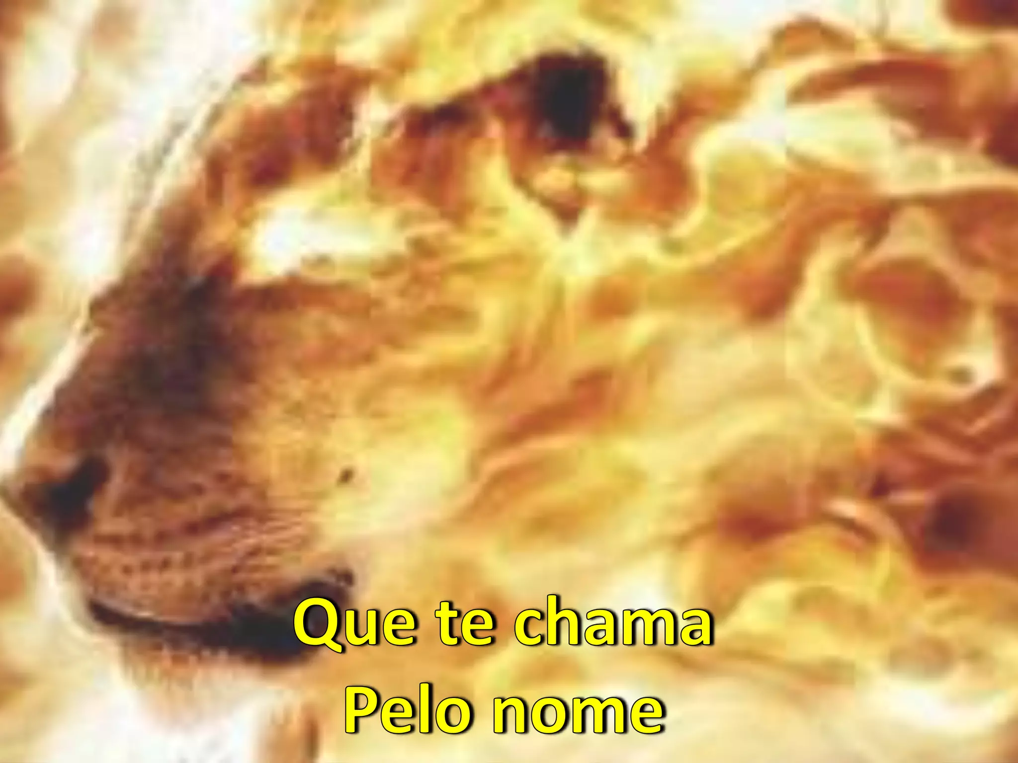 Divisa de Fogo - Fogo no Pé