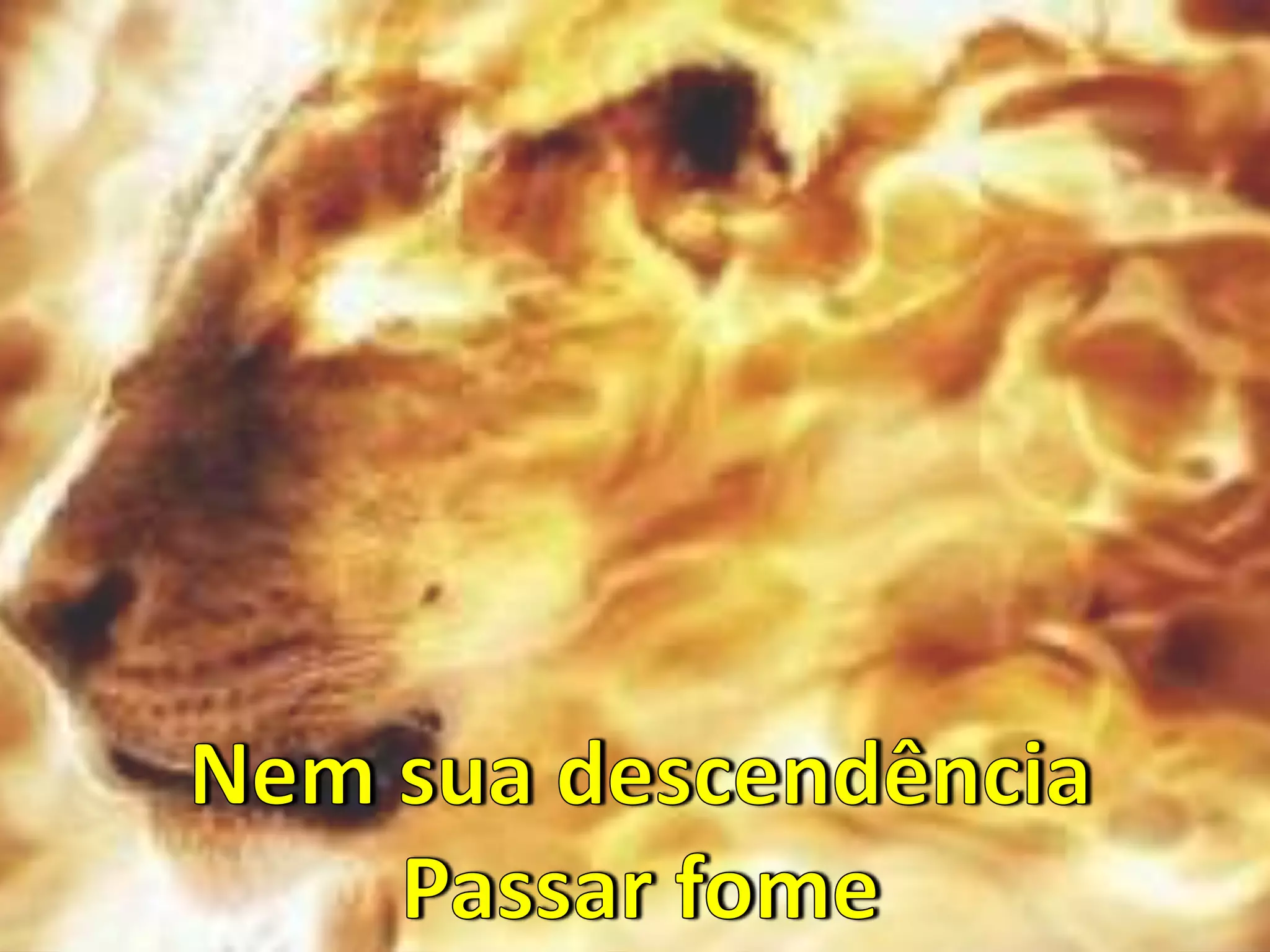 Divisa de Fogo - Fogo no Pé