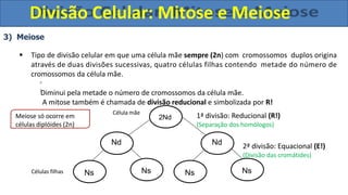 3) Meiose
 Tipo de divisão celular em que uma célula mãe sempre (2n) com cromossomos duplos origina
através de duas divisões sucessivas, quatro células filhas contendo metade do número de
cromossomos da célula mãe.
Diminui pela metade o número de cromossomos da célula mãe.
A mitose também é chamada de divisão reducional e simbolizada por R!
2Nd
Célula mãe
Células filhas Ns Ns
Nd
Ns Ns
Nd
Meiose só ocorre em
células diplóides (2n)
1ª divisão: Reducional (R!)
(Separação dos homólogos)
2ª divisão: Equacional (E!)
(Divisão das cromátides)
Divisão Celular: Mitose e Meiose
 