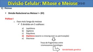 Divisão Celular: Mitose e Meiose
Variabilidade genética
3) Meiose
 Divisão Reducional ou Meiose I – (R!)
Prófase I
o Fase mais longa da meiose
 É dividida em 5 subfases:
a) Leptóteno
b) Zigóteno
c) Paquíteno
d) Diplóteno (ocorre o crossing-over ou permutação)
e) Diacinese
Troca de fragmentos entre
cromossomos homólogos
 
