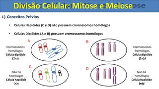 1) Conceitos Prévios
• Células Haplóides (C e D) não possuem cromossomos homólogos
• Células Diplóides (A e B) possuem cromossomos homólogos
Cromossomos
homólogos
Célula diplóide
(2n)s
Cromossomos
homólogos
Célula diplóide
(2n)d
Não há
homólogos
Célula haplóide
(n)d
Não há
homólogos
Célula haplóide
(n)s
A B
C
D
Divisão Celular: Mitose e Meiose
 