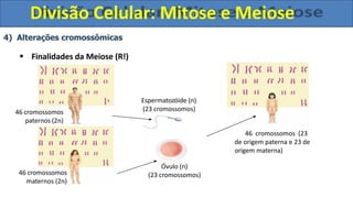 4) Alterações cromossômicas
 Finalidades da Meiose (R!)
46 cromossomos
paternos (2n)
46 cromossomos
maternos (2n)
Espermatozóide (n)
(23 cromossomos)
Óvulo (n)
(23 cromossomos)
46 cromossomos (23
de origem paterna e 23 de
origem materna)
Divisão Celular: Mitose e Meiose
 