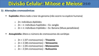 3) Alterações cromossômicas
 Euploidia: Altera todo o teor do genoma (não ocorre na espécie humana)
o 2n: indivíduos diplóides
o 2n – n: indivíduos haplóides – Ex: zangão
o 2n + n: indivíduos triplóides – Ex: Banana (Musa paradisíaca)
 Aneuploidia: Altera o número de cromossomos do cariótipo
o 2n + 1 (47 cromossomos) – Trissomia
o 2n + 2 (48 cromossomos) – Tetrassomia
o 2n – 1 (45 cromossomos) – Monossomia
o 2n – 2 (44 cromossomos) – Nulissomia
Divisão Celular: Mitose e Meiose
 