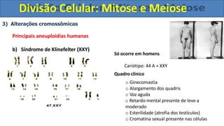 3) Alterações cromossômicas
Principais aneuploidias humanas
b) Síndrome de Klinefelter (XXY)
Só ocorre em homens
Cariótipo: 44 A + XXY
Quadro clínico
o Ginecomastia
o Alargamento dos quadris
o Voz aguda
o Retardo mental presente de leve a
moderado
o Esterilidade (atrofia dos testículos)
o Cromatina sexual presente nas células
Divisão Celular: Mitose e Meiose
 