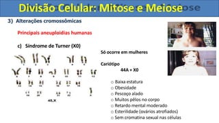 3) Alterações cromossômicas
Principais aneuploidias humanas
c) Síndrome de Turner (X0)
Só ocorre em mulheres
Cariótipo
44A + X0
o Baixa estatura
o Obesidade
o Pescoço alado
o Muitos pêlos no corpo
o Retardo mental moderado
o Esterilidade (ovários atrofiados)
o Sem cromatina sexual nas células
Divisão Celular: Mitose e Meiose
 