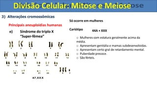 3) Alterações cromossômicas
Só ocorre em mulheres
Principais aneuploidias humanas
Cariótipo
e) Síndrome do triplo X
“Super-fêmea”
44A + XXX
o Mulheres com estatura geralmente acima da
média.
o Apresentam genitália e mamas subdesenvolvidas.
o Apresentam certo gral de retardamento mental.
o Puberdade precoce.
o São férteis.
Divisão Celular: Mitose e Meiose
 