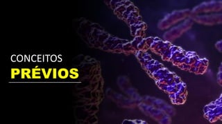 PRÉVIOS
CONCEITOS
 
