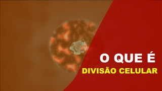 O QUE É
DIVISÃO CELULAR
 