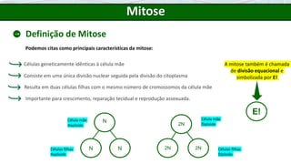 N
N N
2N
2N 2N
Célula mãe
Haploide
Células filhas
Haploide
Mitose
Definição de Mitose
Podemos citas como principais características da mitose:
Importante para crescimento, reparação tecidual e reprodução assexuada.
Células geneticamente idênticas à célula mãe
Consiste em uma única divisão nuclear seguida pela divisão do citoplasma
Resulta em duas células filhas com o mesmo número de cromossomos da célula mãe
Célula mãe
Diploide
Células filhas
Diploide
A mitose também é chamada
de divisão equacional e
simbolizada por E!
E!
 