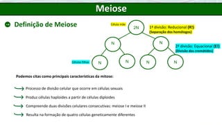 2N
Célula mãe
Células filhas N N
N
N N
N
1ª divisão: Reducional (R!)
(Separação dos homólogos)
2ª divisão: Equacional (E!)
(Divisão das cromátides)
Meiose
Definição de Meiose
Podemos citas como principais características da mitose:
Resulta na formação de quatro células geneticamente diferentes
Processo de divisão celular que ocorre em células sexuais
Produz células haploides a partir de células diploides
Compreende duas divisões celulares consecutivas: meiose I e meiose II
 