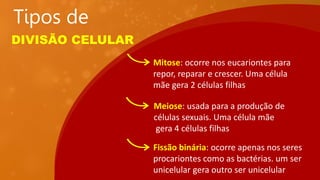 Tipos de
DIVISÃO CELULAR
Mitose: ocorre nos eucariontes para
repor, reparar e crescer. Uma célula
mãe gera 2 células filhas
Meiose: usada para a produção de
células sexuais. Uma célula mãe
gera 4 células filhas
Fissão binária: ocorre apenas nos seres
procariontes como as bactérias. um ser
unicelular gera outro ser unicelular
 