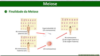 46 cromossomos
paternos (2n)
46 cromossomos
maternos (2n)
Espermatozóide (n)
(23 cromossomos)
Óvulo (n)
(23 cromossomos)
46 cromossomos
(23 de origem paterna e
23 de origem materna)
Finalidade da Meiose
Meiose
 