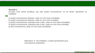 Questão 4
(Fuvest) Uma célula somática, que tem quatro cromossomos, ao se dividir, apresenta na
metáfase:
a) quatro cromossomos distintos, cada um com duas cromátides.
b) quatro cromossomos distintos, cada um com uma cromátide.
c) quatro cromossomos, pareados dois a dois, cada um com duas cromátides.
d) quatro cromossomos, pareados dois a dois, cada um com uma cromátide.
e) dois cromossomos, cada um com duas cromátides.
Alternativa “a”. Na metáfase, a célula apresentará seus
cromossomos duplicados.
 