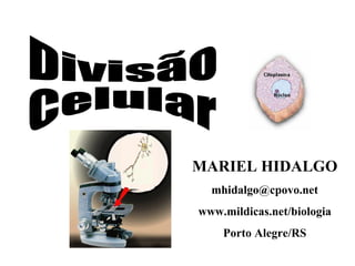 Divisão Celular MARIEL HIDALGO [email_address] www.mildicas.net/biologia Porto Alegre/RS 