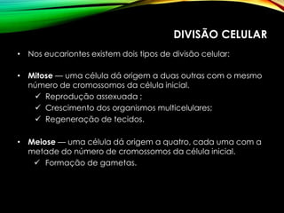 DIVISÃO CELULAR
• Nos eucariontes existem dois tipos de divisão celular:
• Mitose — uma célula dá origem a duas outras com o mesmo
número de cromossomos da célula inicial.
 Reprodução assexuada ;
 Crescimento dos organismos multicelulares;
 Regeneração de tecidos.
• Meiose — uma célula dá origem a quatro, cada uma com a
metade do número de cromossomos da célula inicial.
 Formação de gametas.
 