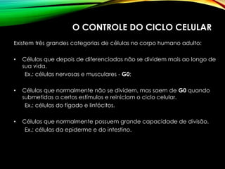 O CONTROLE DO CICLO CELULAR
Existem três grandes categorias de células no corpo humano adulto:
• Células que depois de diferenciadas não se dividem mais ao longo de
sua vida.
Ex.: células nervosas e musculares - G0;
• Células que normalmente não se dividem, mas saem de G0 quando
submetidas a certos estímulos e reiniciam o ciclo celular.
Ex.: células do fígado e linfócitos.
• Células que normalmente possuem grande capacidade de divisão.
Ex.: células da epiderme e do intestino.
 