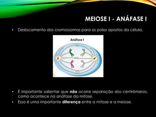 MEIOSE I - ANÁFASE I
• Deslocamento dos cromossomos para os polos opostos da célula.
• É importante salientar que não ocorre separação dos centrômeros,
como acontece na anáfase da mitose.
• Essa é uma importante diferença entre a mitose e a meiose.
 