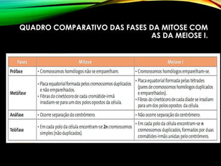 QUADRO COMPARATIVO DAS FASES DA MITOSE COM
AS DA MEIOSE I.
 