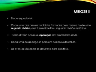 MEIOSE II
• Etapa equacional.
• Cada uma das células haploides formadas pela meiose I sofre uma
segunda divisão, que é a meiose II ou segunda divisão meiótica.
• Nessa divisão ocorre a separação das cromátides-irmãs.
• Cada uma delas dirige-se para um dos polos da célula.
• Os eventos são como se descreve para a mitose.
 